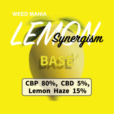 Synergism Lemon  BASE