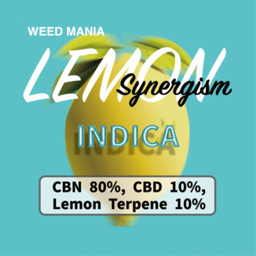Synergism Lemon  INDICA