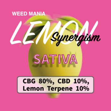 Synergism Lemon  SATIVA
